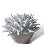 Vaso aculei total white - in ceramiche di santo stefano di camastra