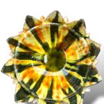 SARAC2