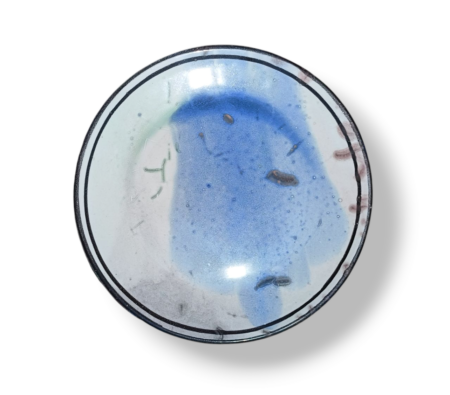 Piatto Nebbia D'Acqua - VB - in Ceramica di Santo Stefano di Camastra