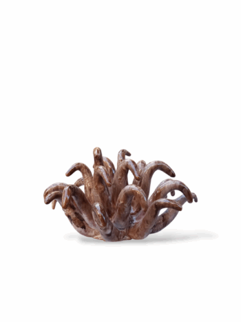 Anemone cioccolato - in Ceramica di Santo Stefano di Camastra