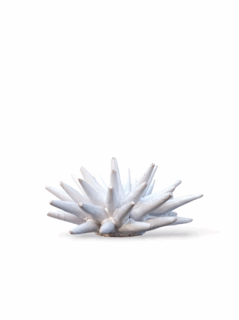 Riccio di mare - B - in Ceramica di Santo Stefano di Camastra