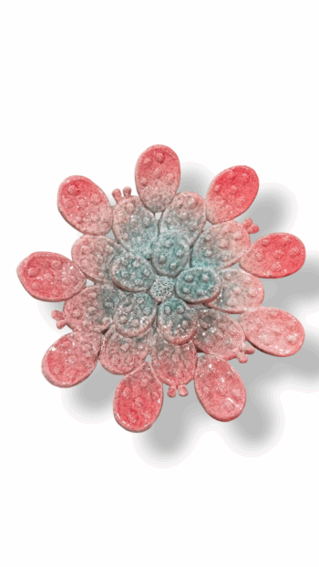 Piatto Pale di Fico - RV - in Ceramica di Santo Stefano di Camastra