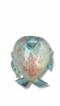 IMG20250807154202