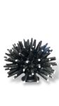 Riccio di mare Nero Opaco - in Ceramica di Santo Stefano di Camastra