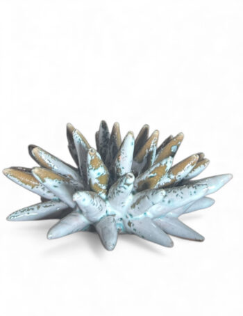 Riccio Bicolor - in Ceramica di Santo Stefano di Camastra