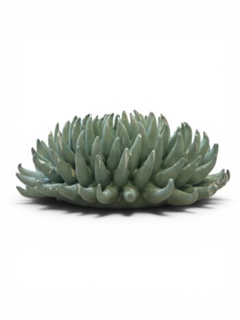 Riccio Grande - in Ceramica di Santo Stefano di Camastra