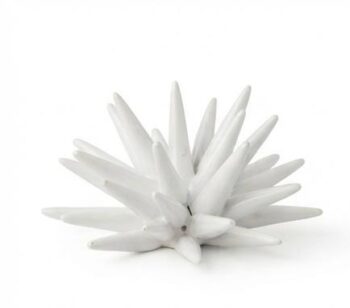 Riccio Total  White - in Ceramica di Santo Stefano di Camastra