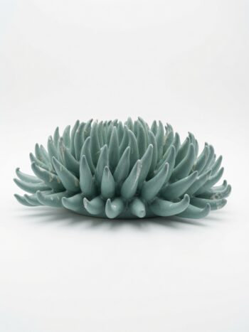 Riccio Ovale Verde - in Ceramica di Santo Stefano di Camastra
